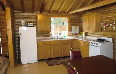 Birch Lake Lodge - Cabin #10 Kitchen
