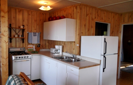 Birch Lake Lodge - Cabin #1 Kitchen
